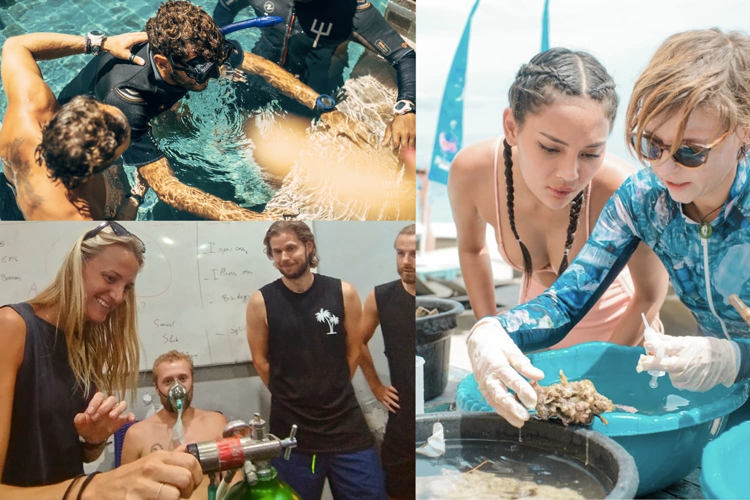 Dive instructor training students in marine environments through practical and academic sessions